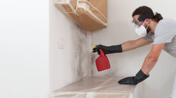 Professional Mold Remediation technician working in Lake Ketchum, WA